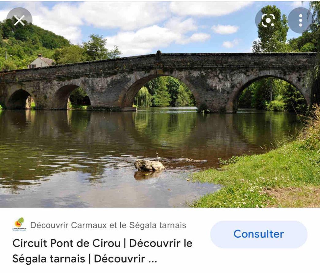 Le Gite De Las Peyros Mirandol-Bourgnounac Dış mekan fotoğraf